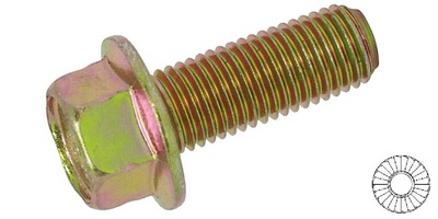 69281S08020-1 M 8-1.25 x 20  Serrated Hex Flange Bolt, Class 8.8 Zinc Yellow