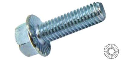 69281S10016 M10-1.50 x 16  Serrated Hex Flange Bolt, Class 8.8 Zinc DIN 6921