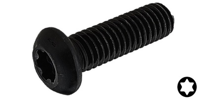73800T06018 M 6-1.0 x 18  Torx Button Head Cap Screw, Class 12.9 Plain.  ISO 7380-T
