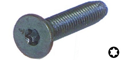 7500ME19013075 # 6, 19 x 3/4  Torx Flat Head Thread Forming Screw Steel, Zinc 48-2