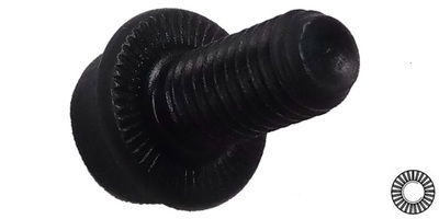 91290FS10035 M10-1.50 x 35  Socket Screw with Serrated Flange, Class 100 Plain  DIN 912 / ISO 4762 / JIS B 1176