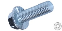 M 5-0.8 x 10  Serrated Hex Flange Bolt, Class 10.9 Zinc.
