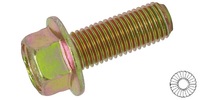 M 8-1.25 x 20  Serrated Hex Flange Bolt, Class 8.8 Zinc Yellow