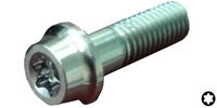 M 8-1.25 x 26  Torx Flange Screw, Class 10.9 Chrome