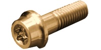 M 8-1.25 x 26  Torx Flange Screw, Class 10.9 PVD Gold