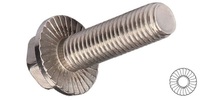 1/4-20 x 1/2  Serrated Hex Flange Bolt, Stainless Steel 18-8