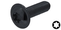 M 6-1.0 x 16  Torx Button Head Cap Screw with Flange, Class 10.9 Plain.  ISO 7380-T