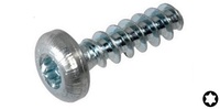 M 2 x 6  Torx Pan Head Screw Plastite, Zinc WN 1452