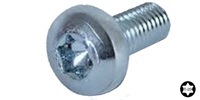 M 2.5-0.45 x 5  Torx Pan Machine Screw, Class 8.8 Zinc.  ISO 14583