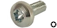 M 6-1.0 x 12  Torx Pan Machine Screw, Stainless Steel A2 70.  ISO 14583