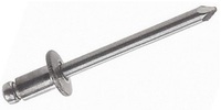 RivetS